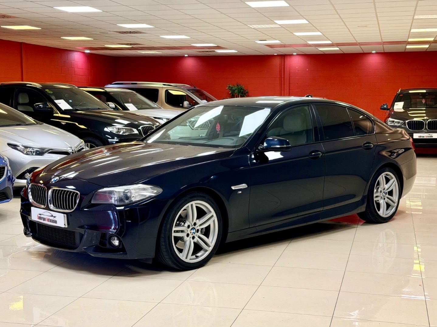BMW Serie 5 520d